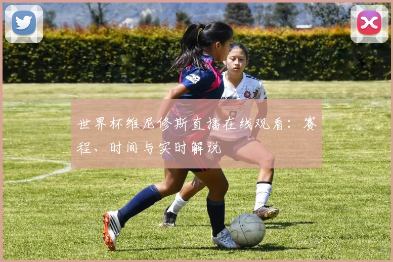 世界杯维尼修斯直播在线观看：赛程、时间与实时解说